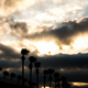 Illustration for article titled Bulls. Sun. Sebring.